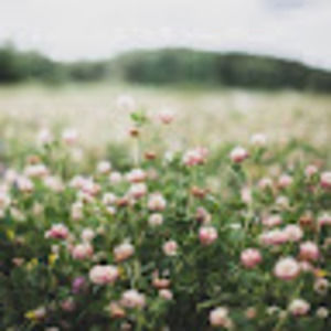 Meet your Posher, Callie